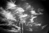Surrealism. Skeleton with clouds on a background. Poster Print by Bruce Rolff/Stocktrek Images - Item # VARPSTRFF200926S