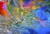 Colorful Abstraction. Tree branches. Poster Print by Bruce Rolff/Stocktrek Images - Item # VARPSTRFF200970S