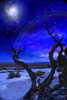 Desert Tree and Horizon. Night starry sky with galaxy Poster Print by Bruce Rolff/Stocktrek Images - Item # VARPSTRFF201042S