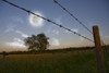 Full moon in sky with clouds and farmers fence and field Poster Print by Bruce Rolff/Stocktrek Images - Item # VARPSTRFF201051S