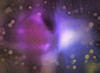 Abstract painting. Purple swirls, bokeh. Poster Print by Bruce Rolff/Stocktrek Images - Item # VARPSTRFF201055S