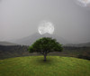 Green tree in the field. Full moon above mountain landscape. Galaxy is visible in the sky Poster Print by Bruce Rolff/St - Item # VARPSTRFF201090S