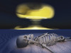 Human skeleton and nuclear detonation Poster Print by Bruce Rolff/Stocktrek Images - Item # VARPSTRFF201191S