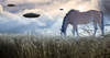 Horse grazing with UFOs floating nearby Poster Print by Bruce Rolff/Stocktrek Images - Item # VARPSTRFF201254S