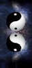 Yin Yang Stars Reflect Poster Print by Bruce Rolff/Stocktrek Images - Item # VARPSTRFF201324S
