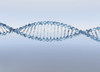 Digital image of DNA helix. Poster Print by Bruce Rolff/Stocktrek Images - Item # VARPSTRFF700008H