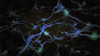 Neurons in mind Poster Print by Bruce Rolff/Stocktrek Images - Item # VARPSTRFF700019H