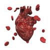 Human Heart and Blood Cells Poster Print by Bruce Rolff/Stocktrek Images - Item # VARPSTRFF700027H