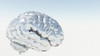 Binary Brain. 3D rendered Poster Print by Bruce Rolff/Stocktrek Images - Item # VARPSTRFF700049H