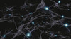 Brain cells with electrical firing Poster Print by Bruce Rolff/Stocktrek Images - Item # VARPSTRFF700070H