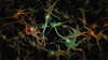 Brain Neurons and glowing nodes. Vivid painting Poster Print by Bruce Rolff/Stocktrek Images - Item # VARPSTRFF700078H