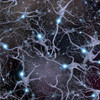 Brain Cells and Deep Space Poster Print by Bruce Rolff/Stocktrek Images - Item # VARPSTRFF700083H