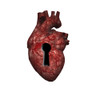Heart with keyhole Poster Print by Bruce Rolff/Stocktrek Images - Item # VARPSTRFF700088H