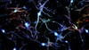 Neurons brain cells with electrical firing Poster Print by Bruce Rolff/Stocktrek Images - Item # VARPSTRFF700095H