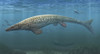 A large Tylosaurus aquatic reptile searches the Cretaceous waters for food. Poster Print by Sergey Krasovskiy/Stocktrek - Item # VARPSTSKR100178P