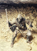 Underground post apocalyptic creature with homemade weapons and lantern. Poster Print by Oleg Zabielin/Stocktrek Images - Item # VARPSTZAB102885M