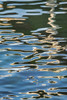 Rippled water reflection Poster Print by Lisa Engelbrecht - Item # VARPDDAB01LEN0006