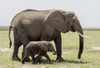Africa, Kenya, Amboseli National Park. Mother elephant and baby walking. Poster Print by Jaynes Gallery - Item # VARPDDAF21BJY0027