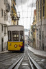 Tram; Lisbon, Portugal Poster Print by Dosfotos / Design Pics - Item # VARDPI12326245