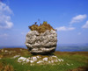 Ireland, Boulder Poster Print by The Irish Image Collection / Design Pics - Item # VARDPI1806138