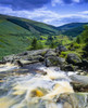 Co Wicklow, Glenmacnass Poster Print by The Irish Image Collection / Design Pics - Item # VARDPI1840835