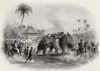 An Elephant Fight From A 19Th Century Print Poster Print by Ken Welsh / Design Pics - Item # VARDPI1860722