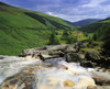Glenmacnass, Co Wicklow, Ireland Poster Print by The Irish Image Collection / Design Pics - Item # VARDPI1802285