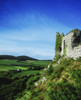 Dunamase Castle, Co Laois, Ireland Poster Print by The Irish Image Collection / Design Pics - Item # VARDPI1808803