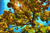 Large tree with paint effect; Alberta, Canada Poster Print by 770 Productions / Design Pics - Item # VARDPI12524389
