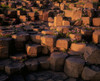 Giant's Causeway, Co Antrim, Ireland Poster Print by The Irish Image Collection / Design Pics - Item # VARDPI1800120