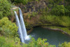 Wailua Falls; Kauai, Hawaii, United States Of America Poster Print by Kicka Witte / Design Pics - Item # VARDPI2373731