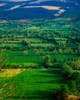 Glen Of Aherlow, Co Tipperary, Ireland Poster Print by The Irish Image Collection / Design Pics - Item # VARDPI1813150