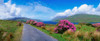 Killary Harbour, County Galway, Ireland Poster Print by The Irish Image Collection / Design Pics - Item # VARDPI1813280