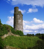 Round Towers, Tower At Ballyfin, Co Laois Poster Print by The Irish Image Collection / Design Pics - Item # VARDPI1809882