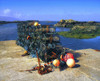 Lobster Pots, Rosbeg, Co Donegal, Ireland Poster Print by The Irish Image Collection / Design Pics - Item # VARDPI1803518