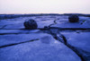 The Burren,Co Clare,Ireland;Limestone Paving Poster Print by The Irish Image Collection / Design Pics - Item # VARDPI1807235