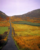 Gap Of Mamore, Inishowen, Co Donegal, Ireland Poster Print by The Irish Image Collection / Design Pics - Item # VARDPI1797985