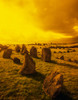 Beaghmore Stone Circles, County Tyrone, Ireland Poster Print by The Irish Image Collection / Design Pics - Item # VARDPI1813676