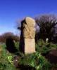 Janus Stone, Boa Island, Co. Fermanagh, Ireland Poster Print by The Irish Image Collection / Design Pics - Item # VARDPI1799310