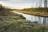 Whirlpool River, Riding Mountain National Park; Manitoba, Canada Poster Print by Dave Reede / Design Pics - Item # VARDPI12554122