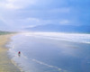 Inch Beach, Dingle Peninsula, County Kerry, Ireland Poster Print by The Irish Image Collection / Design Pics - Item # VARDPI1806477