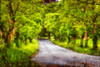 Digital painting of a road through trees with lush, green foliage Poster Print by 770 Productions / Design Pics - Item # VARDPI12512563