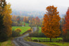 Dirt Road In Autumn With Early Morning Fog; Iron Hill, Quebec, Canada Poster Print by David Chapman / Design Pics - Item # VARDPI2383661