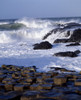 Giant's Causeway, County Antrim, Ireland, Basalt Columns Poster Print by The Irish Image Collection / Design Pics - Item # VARDPI1810074