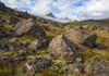 Beautiful, rugged landscape along the East Coast of Iceland; Iceland Poster Print by Robert Postma / Design Pics - Item # VARDPI12546862