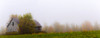 Old wooden barn in a foggy field in autumn; Waterloo, Quebec, Canada Poster Print by David Chapman / Design Pics - Item # VARDPI12545620