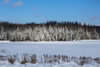 A field and trees covered with snow under a blue sky; Quebec, Canada Poster Print by David Chapman / Design Pics - Item # VARDPI12521675