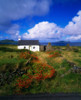 Dingle Peninsula, Co Kerry, Ireland; Cottage Near Dunquinn Poster Print by The Irish Image Collection / Design Pics - Item # VARDPI1808613