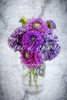 Philippians 4:8 'whatever is lovely' in French with a bouquet of dahlias Poster Print by Lorna Rande / Design Pics - Item # VARDPI12520848