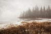 Northern Autumn Landscape In Fog And Ice; Thunder Bay, Ontario, Canada Poster Print by Susan Dykstra / Design Pics - Item # VARDPI12316974